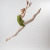 Pre-Pro Dance Audition Photo Shoot | 3N5A9151-Edit.jpg