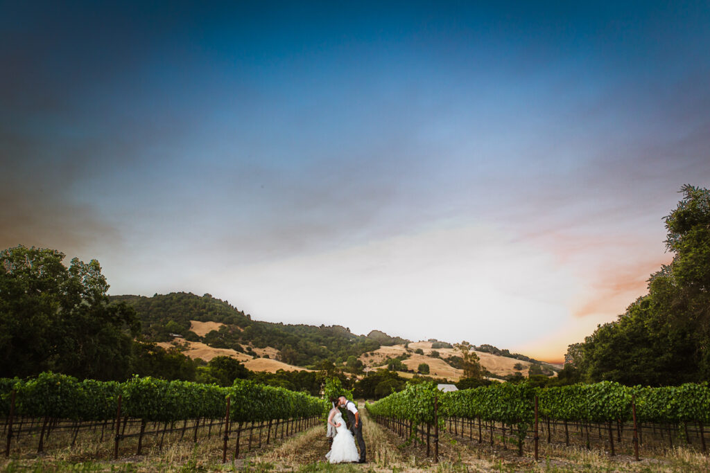 A bride and groom kissing in a vineyard field. 