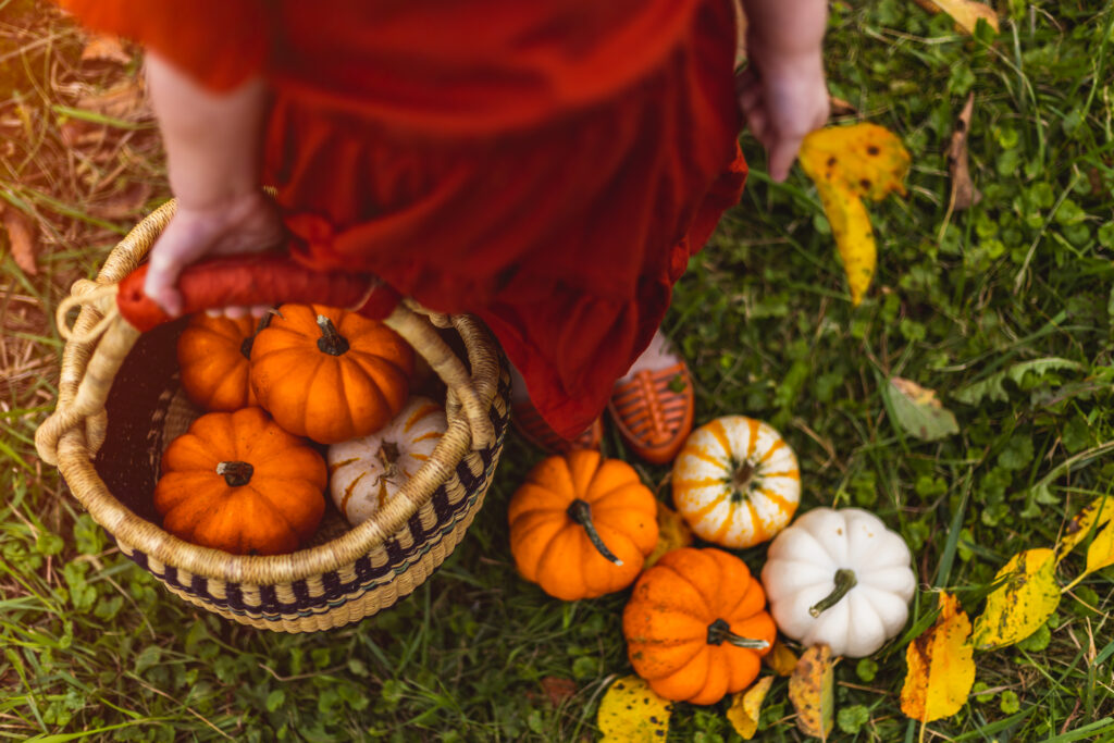 fall pumpkins family photo