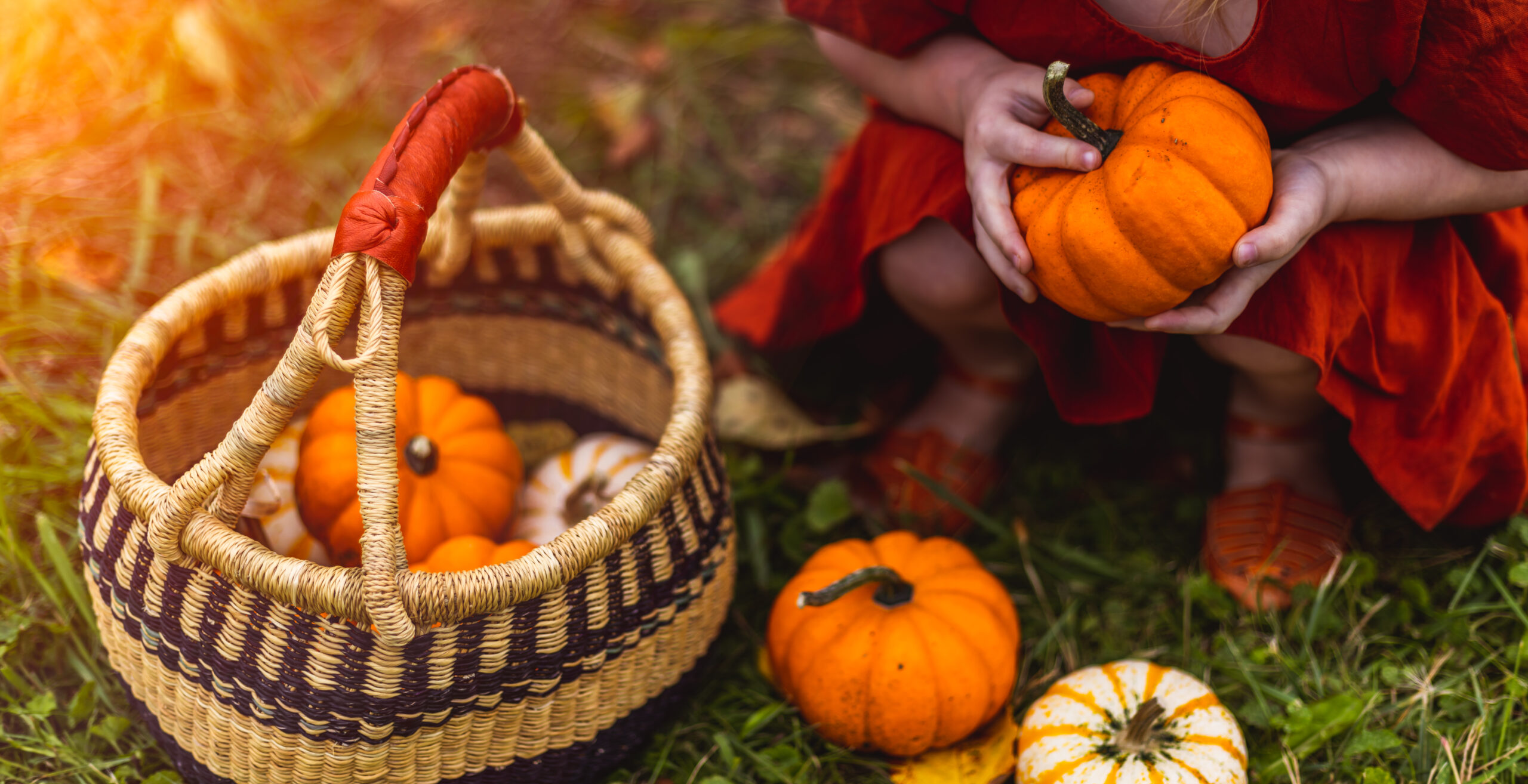 fall pumpkins family photo