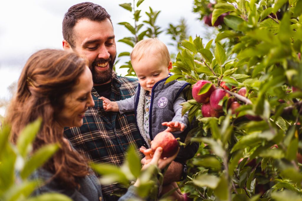 family photos in apple orchard