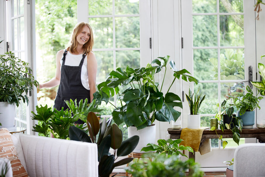 Greendigs floor plants in a bright white room