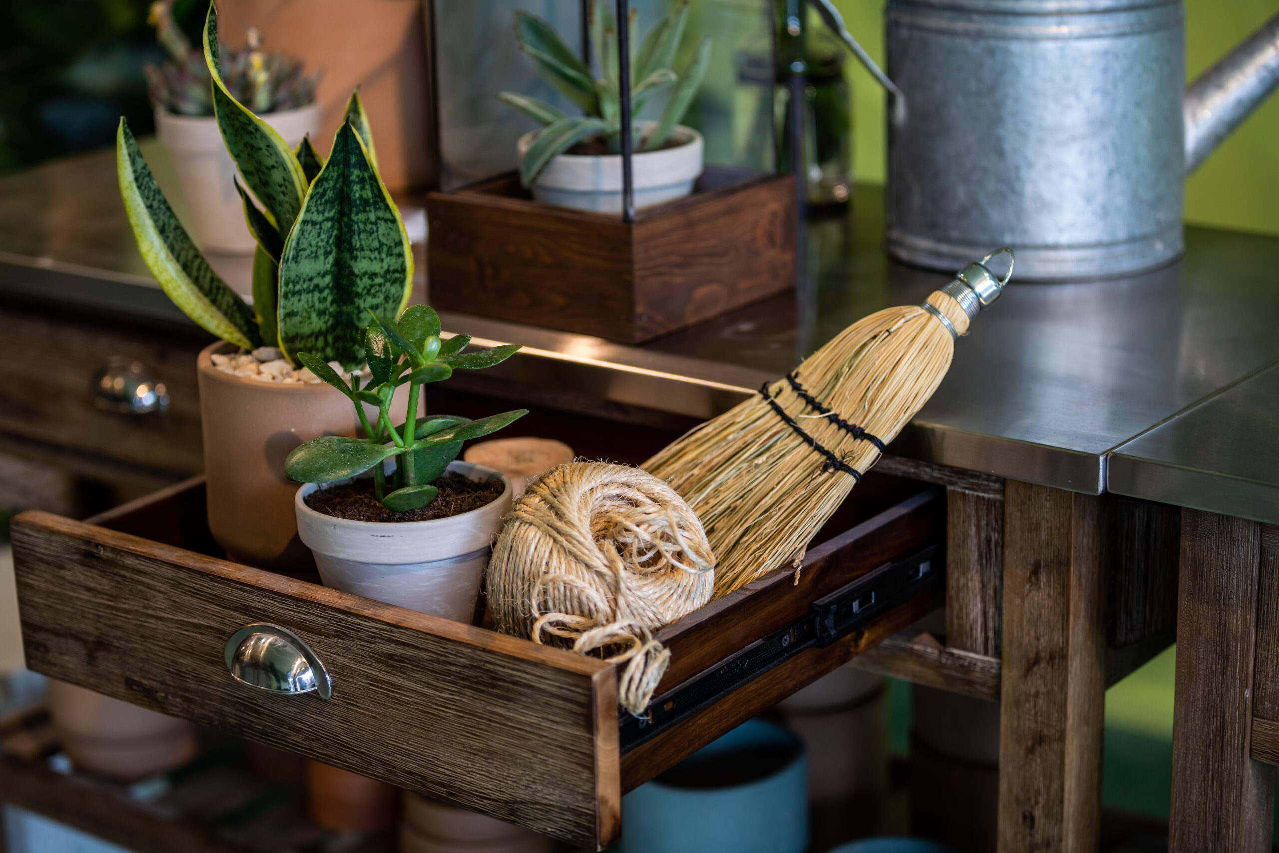 Social Media Content Visual Content