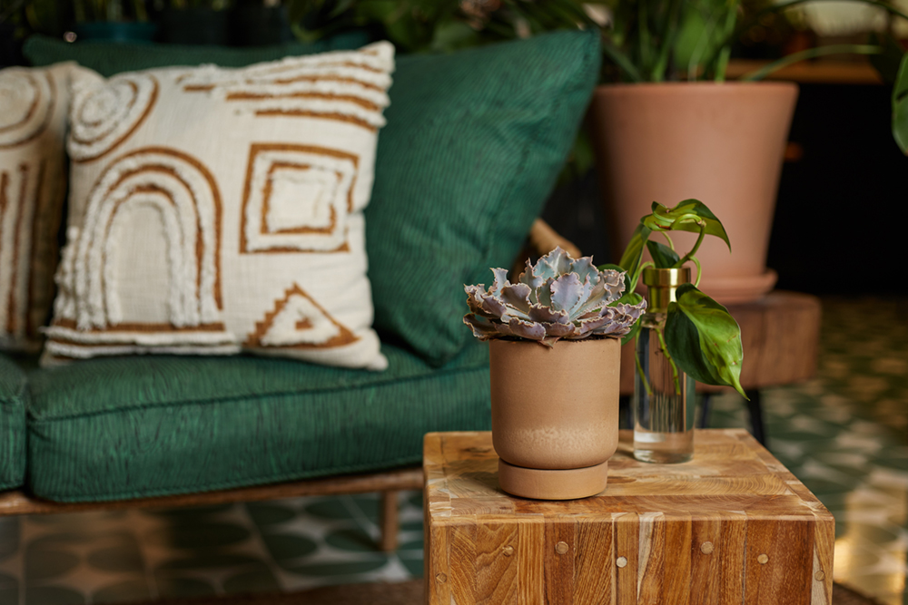 031721 JZ A 012 small Brands