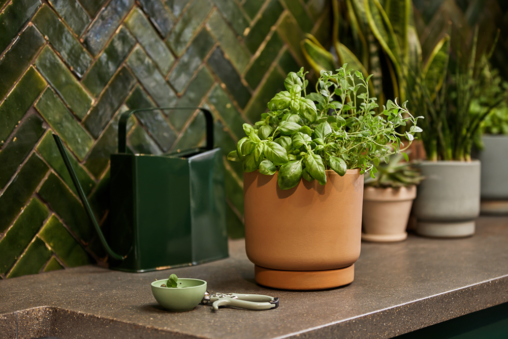 031721 JZ A 089 Small Consistent Brand Content