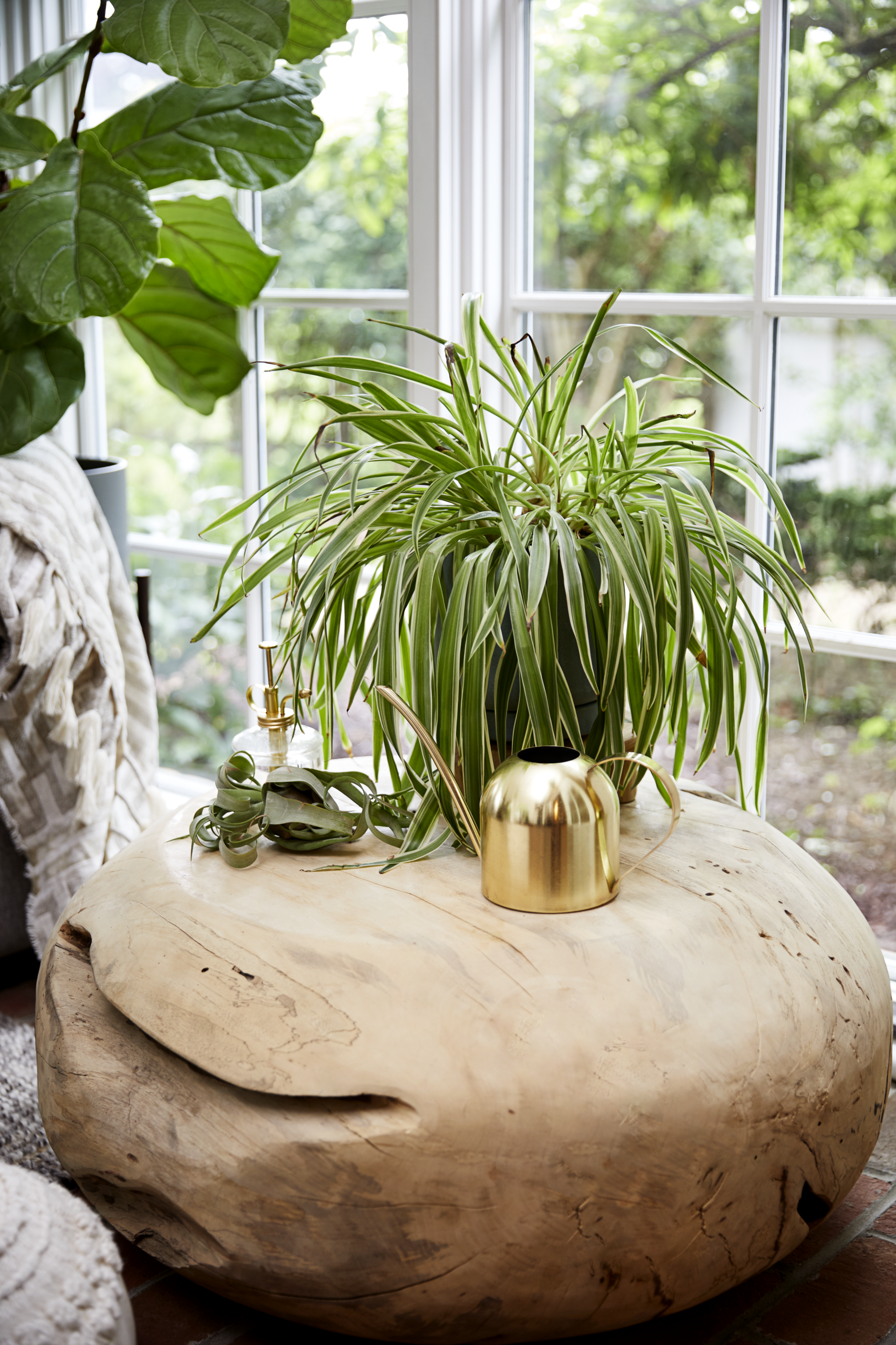 ohio-columbus-product-brand-photography