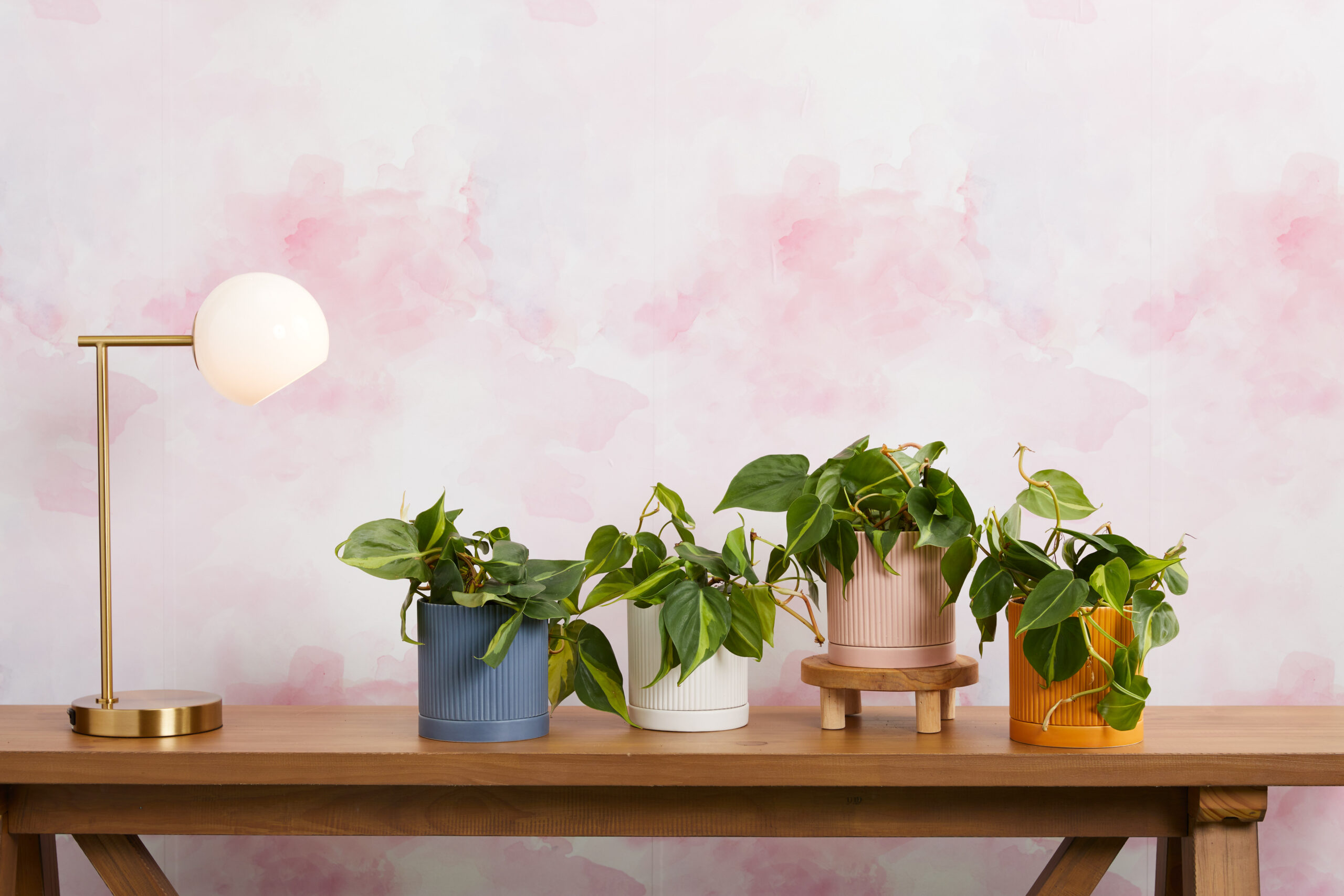 Columbus Ohio Brand Product Photographer